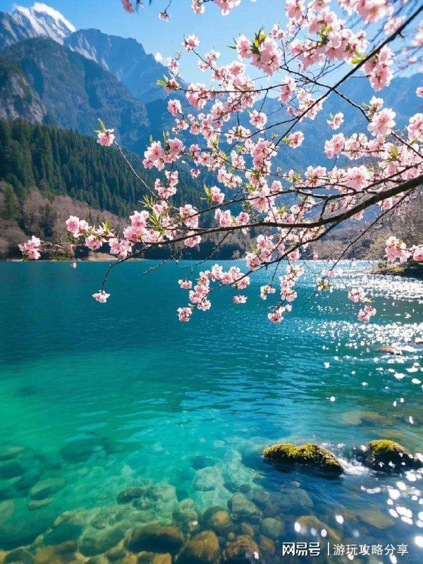成都三日游超全四川旅行指南！pg模拟器成都怎么玩自由行(图4)