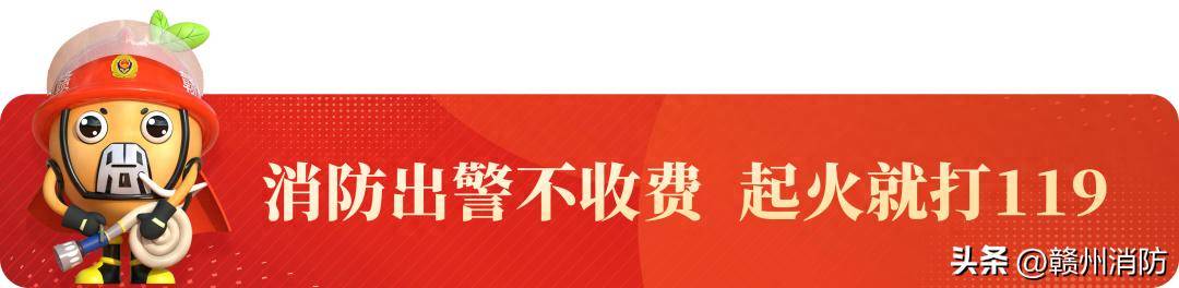 鹑火灾中惨遭毒手竟因→pg电子首页赣州万只鹌(图3)
