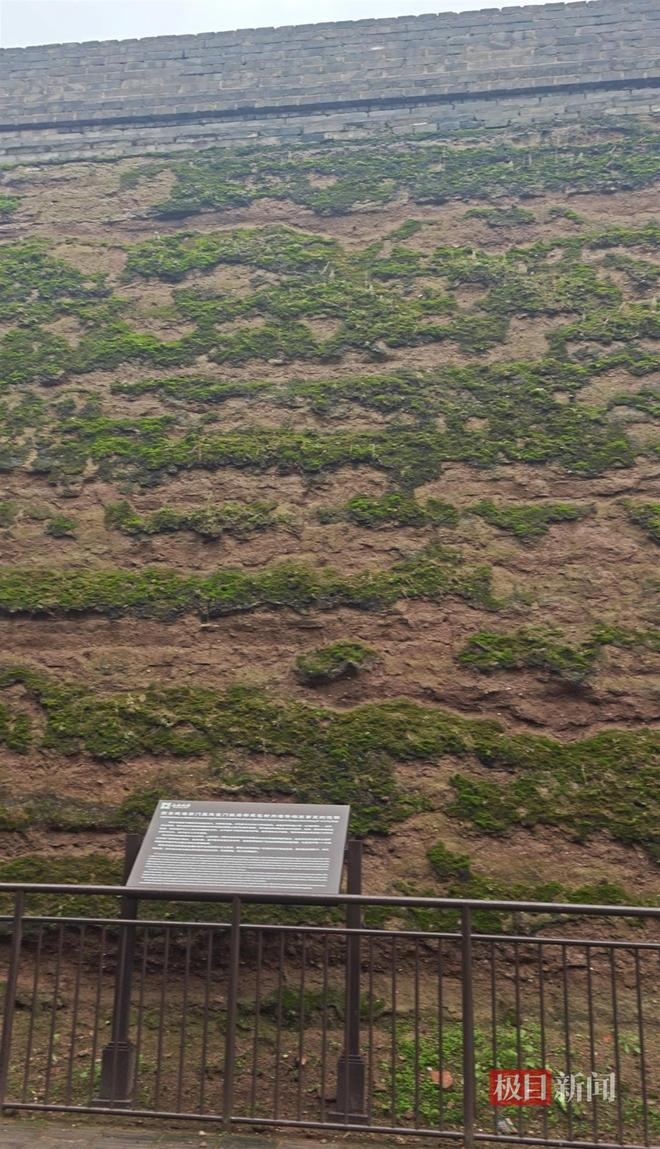 地长蘑菇大雁塔受潮城墙布满青苔气象局解释成因pg电子模拟器电脑版西安连续一个多月降雨遍(图3)