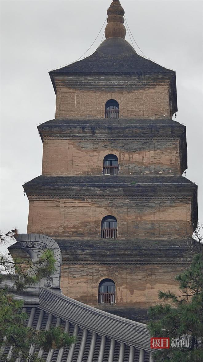 地长蘑菇大雁塔受潮城墙布满青苔气象局解释成因pg电子模拟器电脑版西安连续一个多月降雨遍(图2)